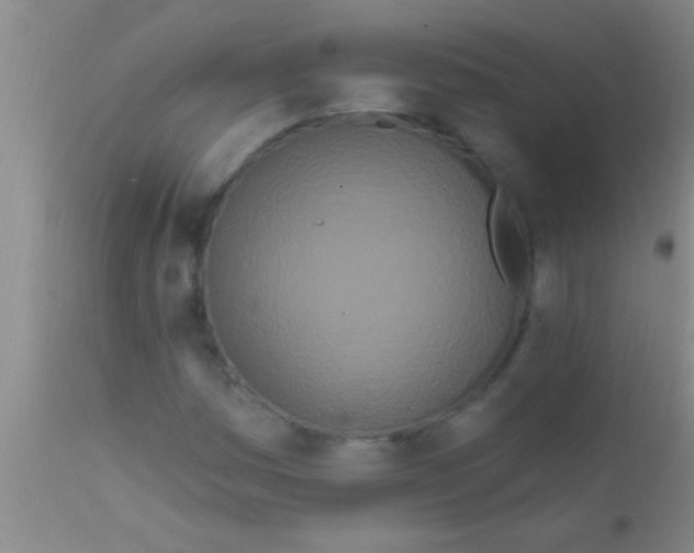 X0000111891161200909031858