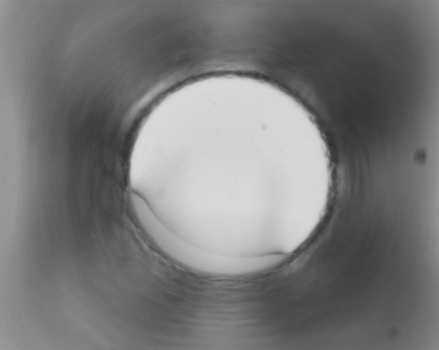 X0000111891165200909031858