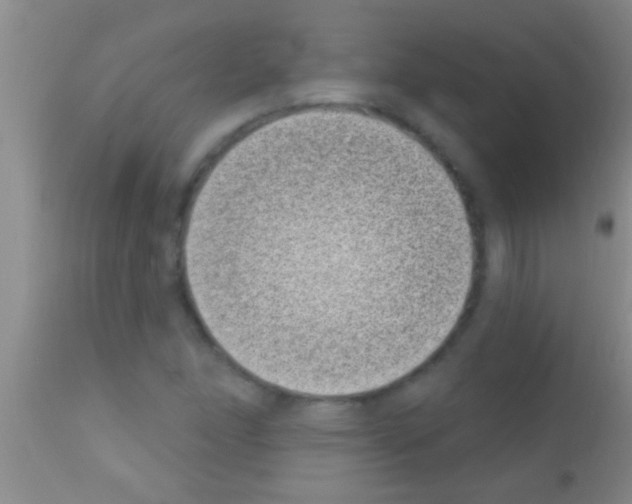 X0000111891166200909031858