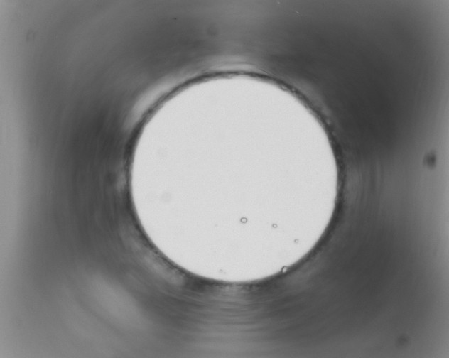 X0000111891167200909031858