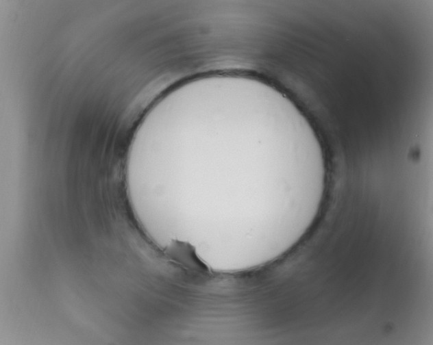 X0000111891169200909031858