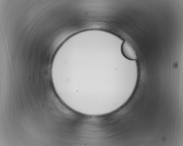 X0000111891178200909031857