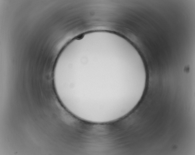 X0000111891181200909031857