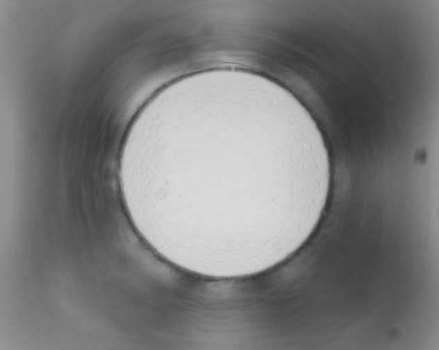 X0000111891182200909031857