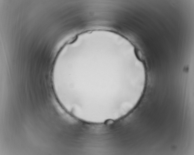 X0000111891189200909031857