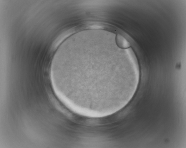 X0000111891194200909031857