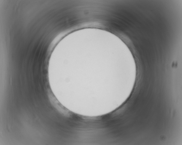 X0000111891200200909031857