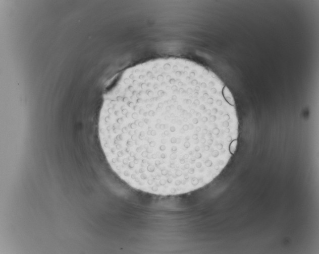 X0000111891201200909031856