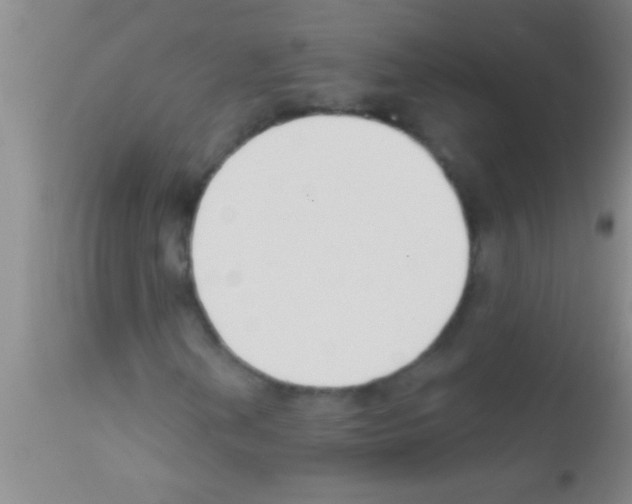 X0000111891202200909031856