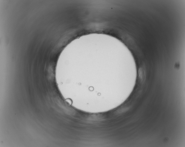 X0000111891203200909031856