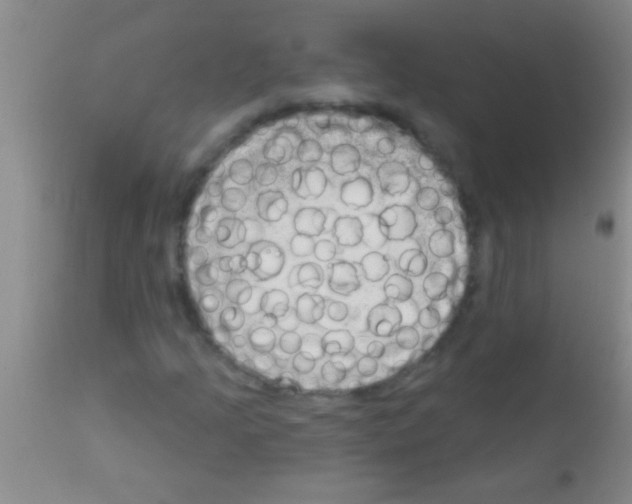 X0000111891205200909031857