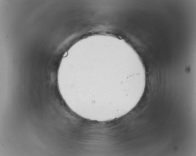 X0000111891206200909031857