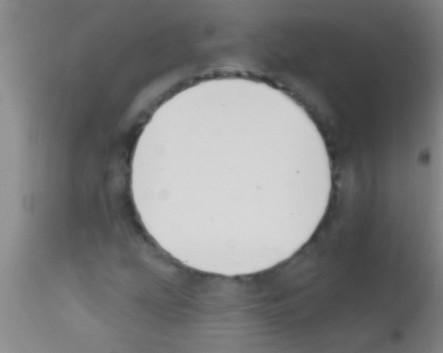 X0000111891207200909031857