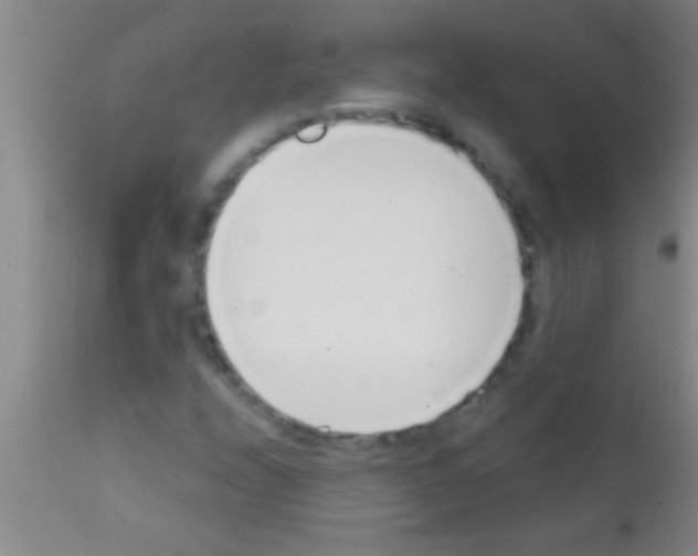 X0000111891208200909031857