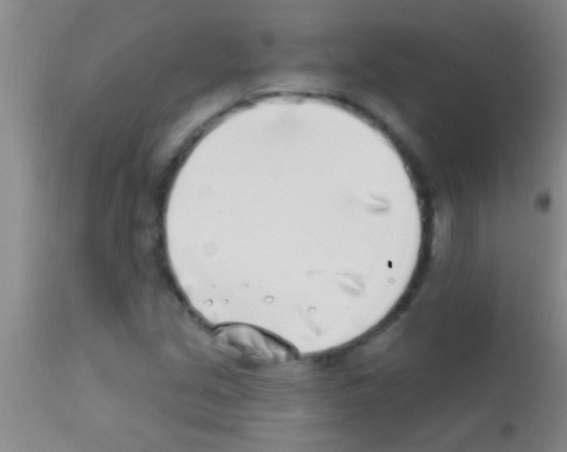 X0000111891213200909031857