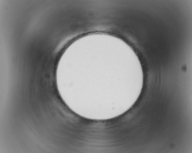 X0000111891214200909031857