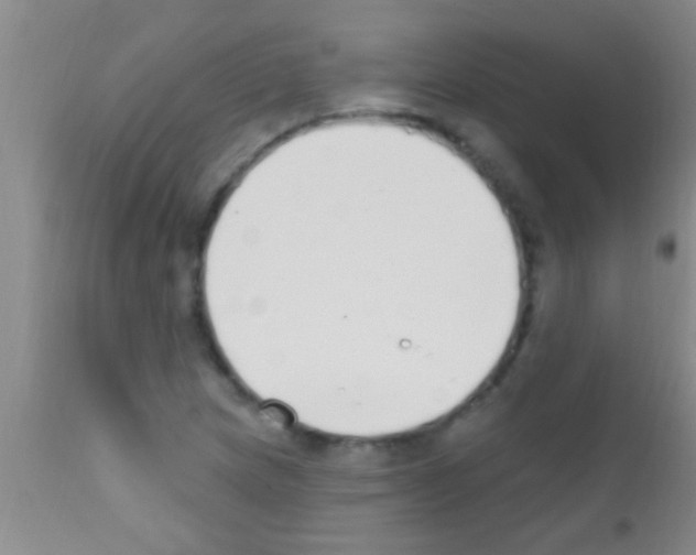 X0000111891217200909031857