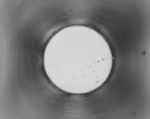 X0000111891218200909031857