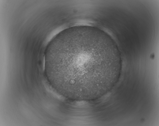 X0000111891219200909031857