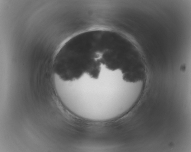 X0000111891220200909031857