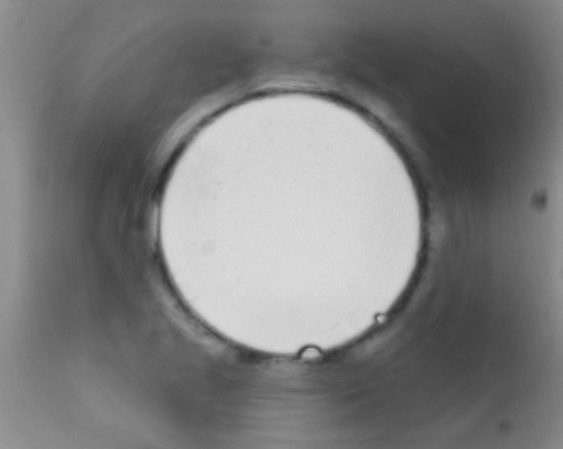 X0000111891221200909031857