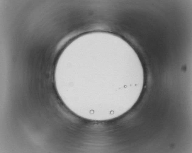 X0000111891222200909031857