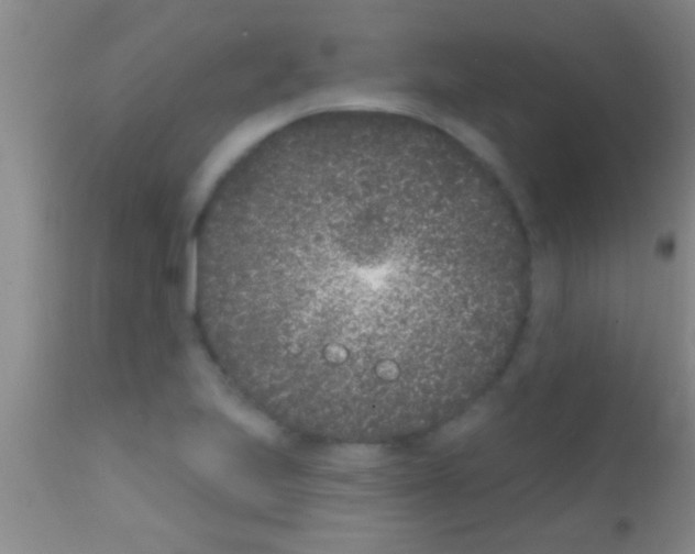 X0000111891223200909031857