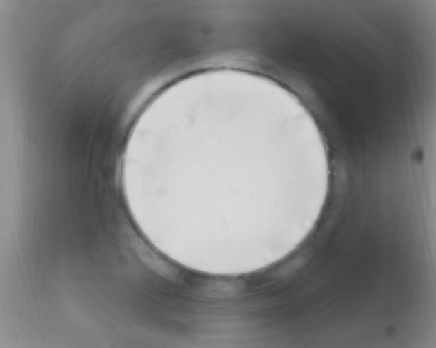 X0000111891224200909031857