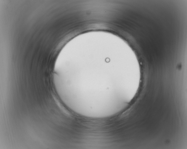 X0000111891225200909031857