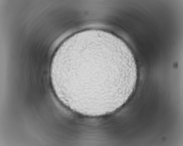 X0000111891229200909031857