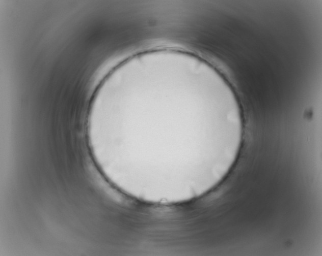 X0000111891231200909031857