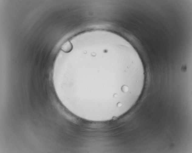 X0000111891232200909031857