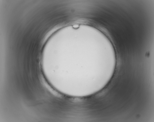 X0000111891235200909031857