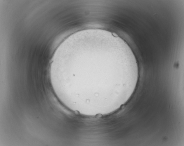 X0000111891236200909031857