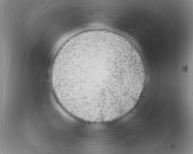 X0000111891239200909031857