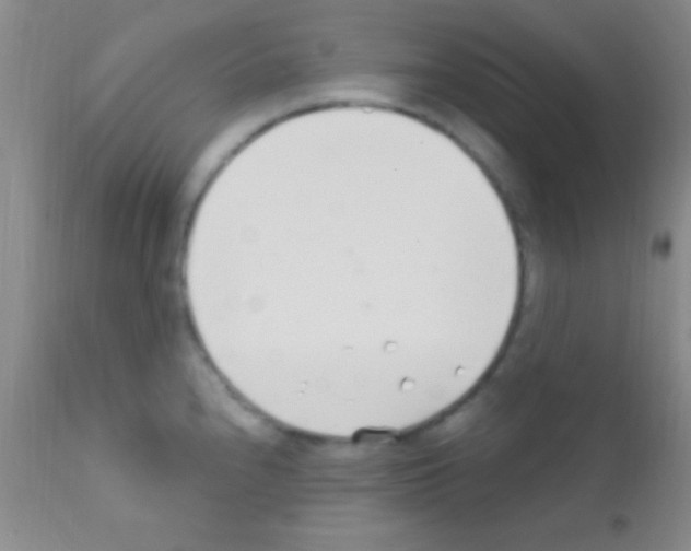 X0000111891240200909031857