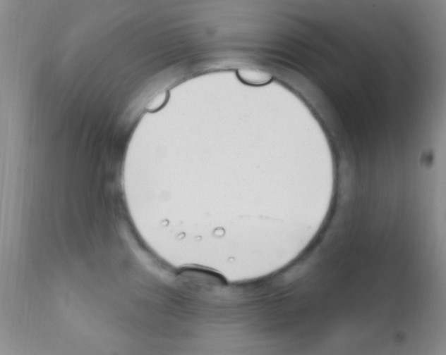 X0000111891241200909031857