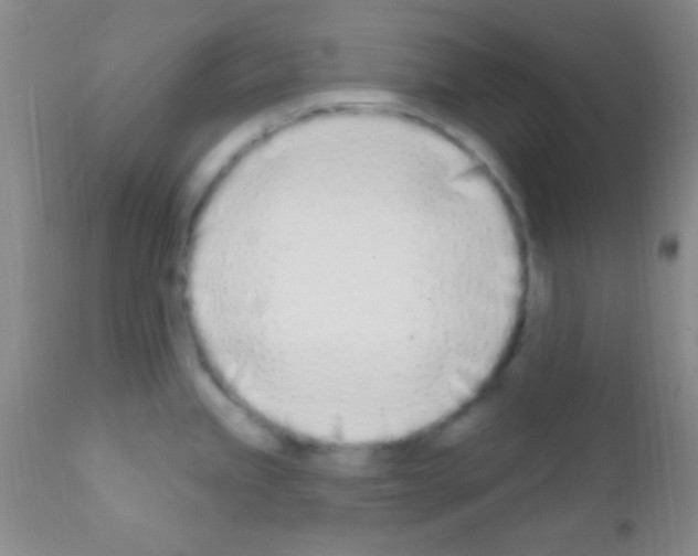 X0000111891245200909031857