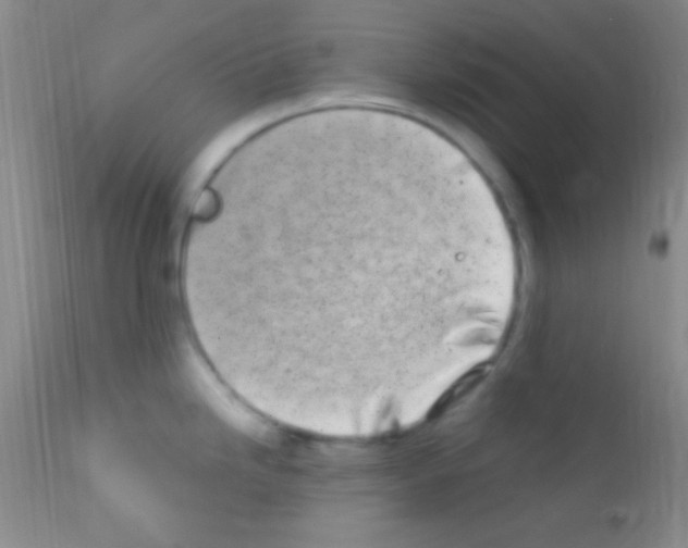 X0000111891246200909031857