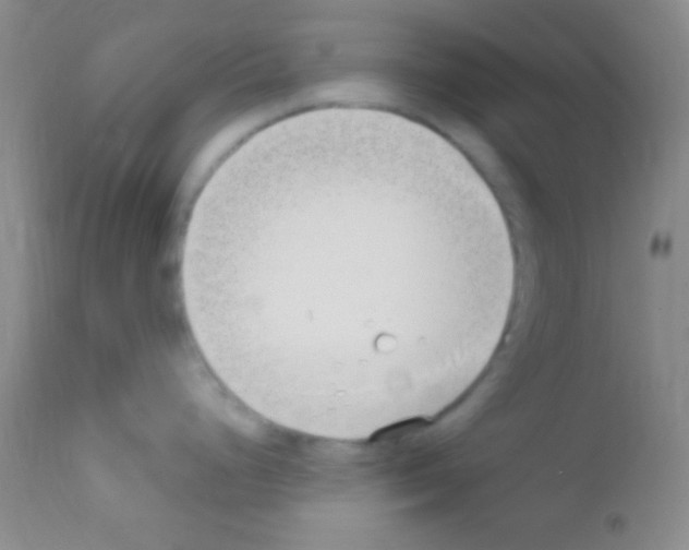 X0000111891248200909031857