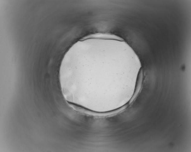 X0000111891249200909031856