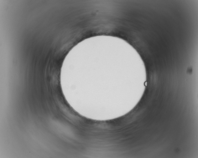 X0000111891250200909031856