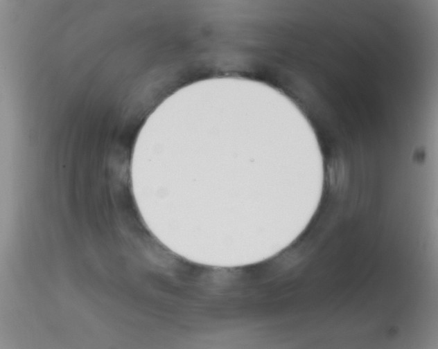 X0000111891251200909031856