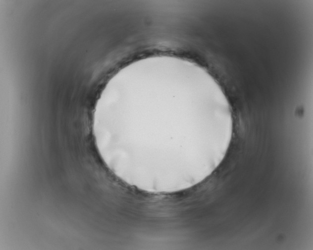 X0000111891253200909031856