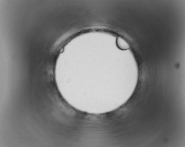 X0000111891255200909031856