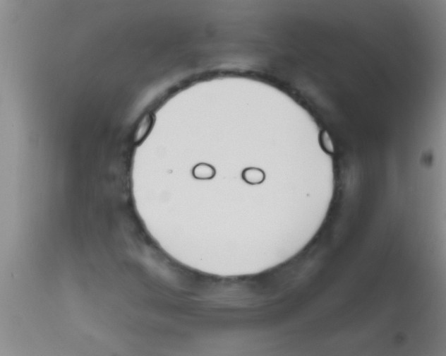 X0000111891256200909031856