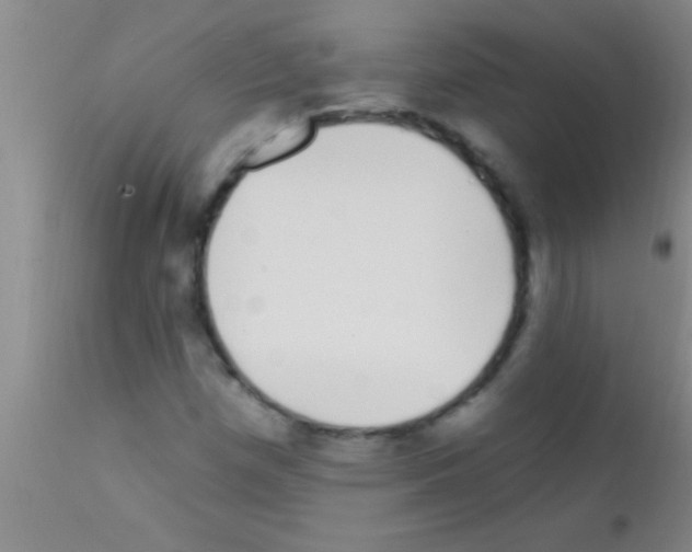 X0000111891257200909031856