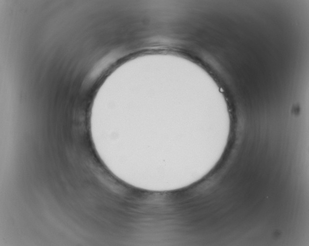 X0000111891259200909031856