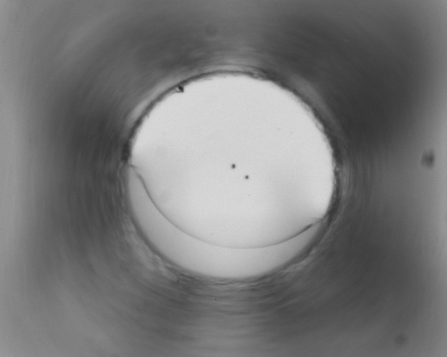 X0000111891260200909031856