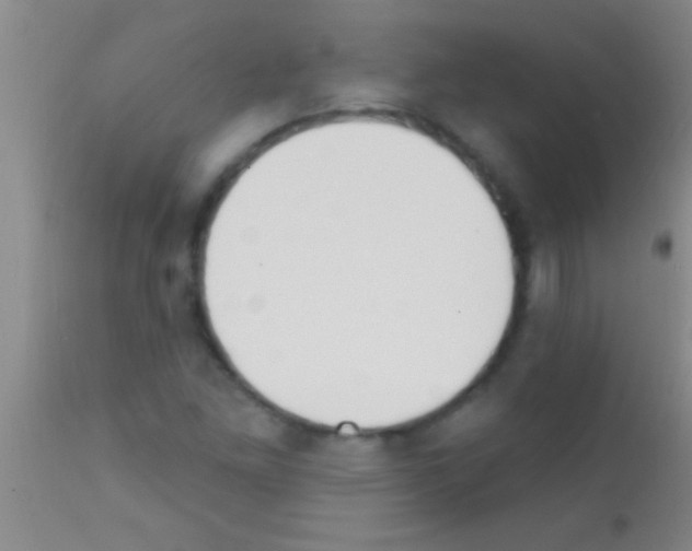 X0000111891261200909031856